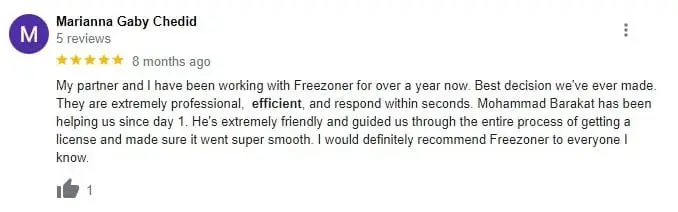 freezoner-017